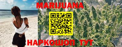 PSILOCYBIN Свободный
