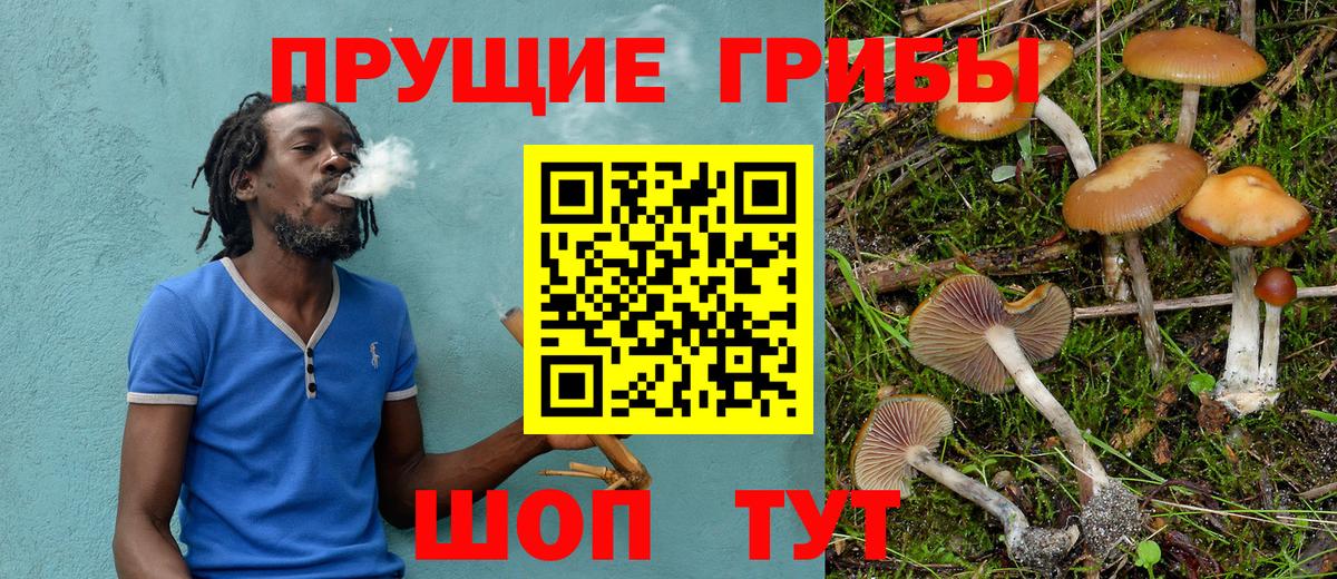 Подольск  Галлюциногенные грибы Psilocybe  Вход с VPN 