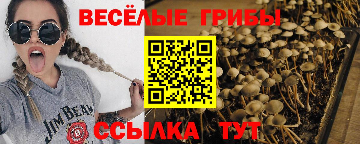 Псилоцибиновые грибы ЛСД Подольск